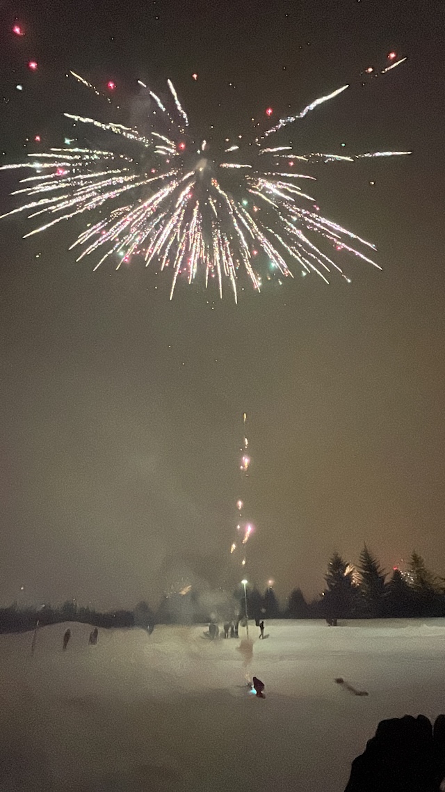 アイスランド　年越し　花火　危険
