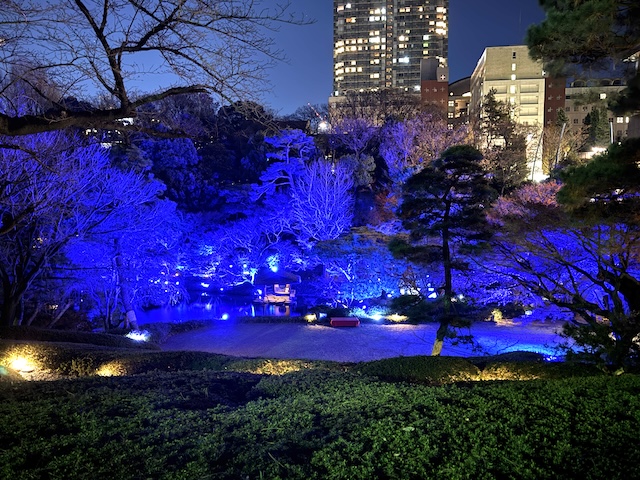 八芳園　TOKYO BLUE GARDEN 2024-2025 ライトアップ　日本庭園