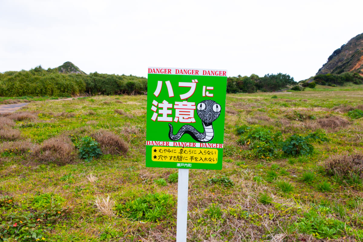 『ハブに注意！』看板