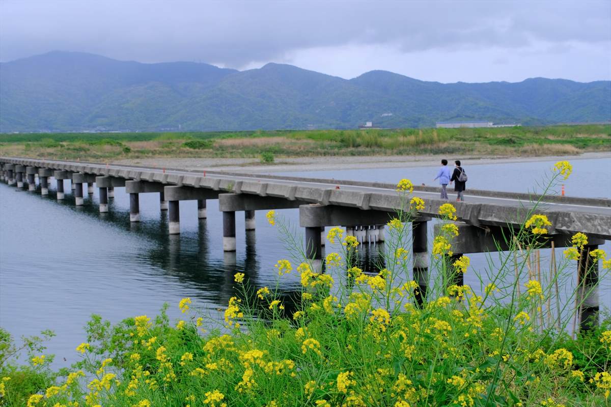 吉野川　沈下橋