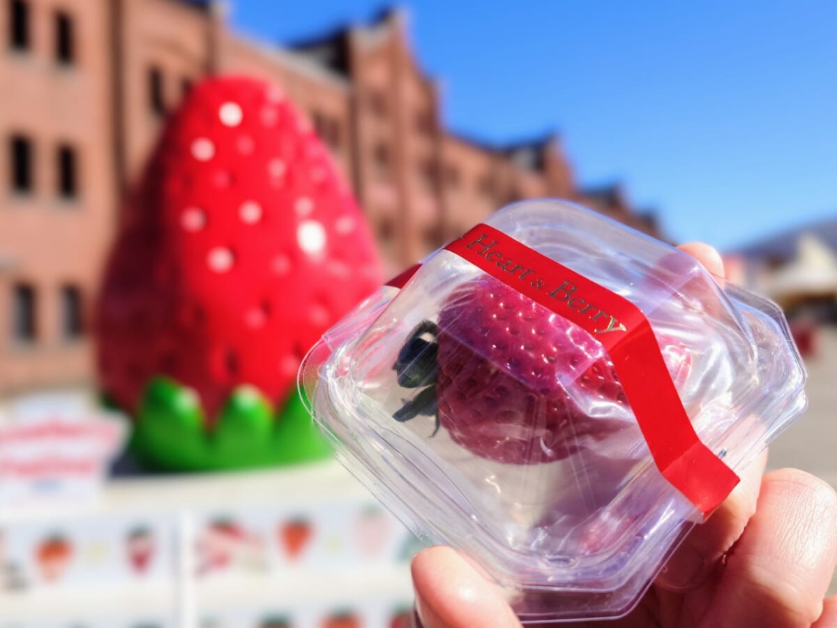 神奈川県横浜市・横浜赤レンガ倉庫「Yokohama Strawberry Festival 2025」イベント会場広場（オブジェ、無料配布のブランドいちご）