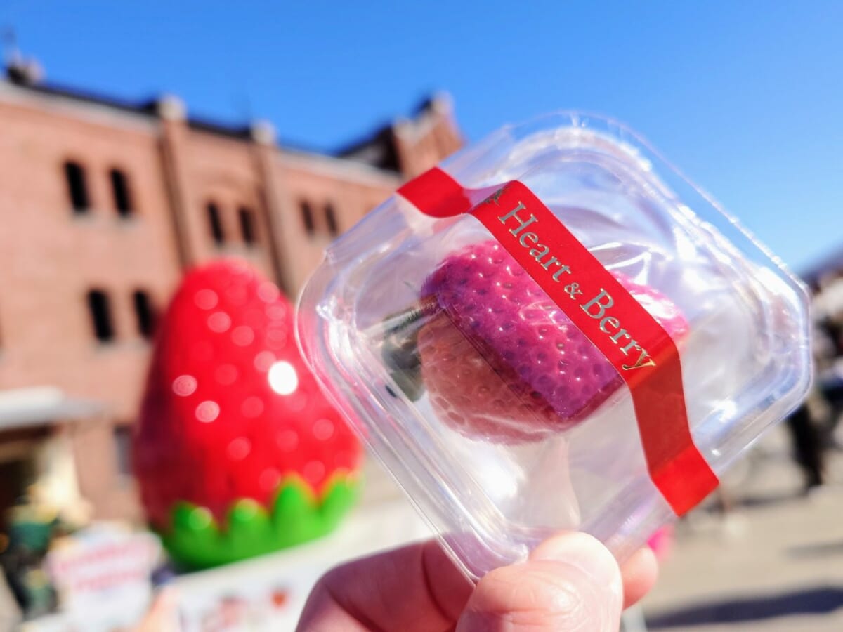 神奈川県横浜市・横浜赤レンガ倉庫「Yokohama Strawberry Festival 2025」イベント会場広場（オブジェ、無料配布のブランドいちご）2