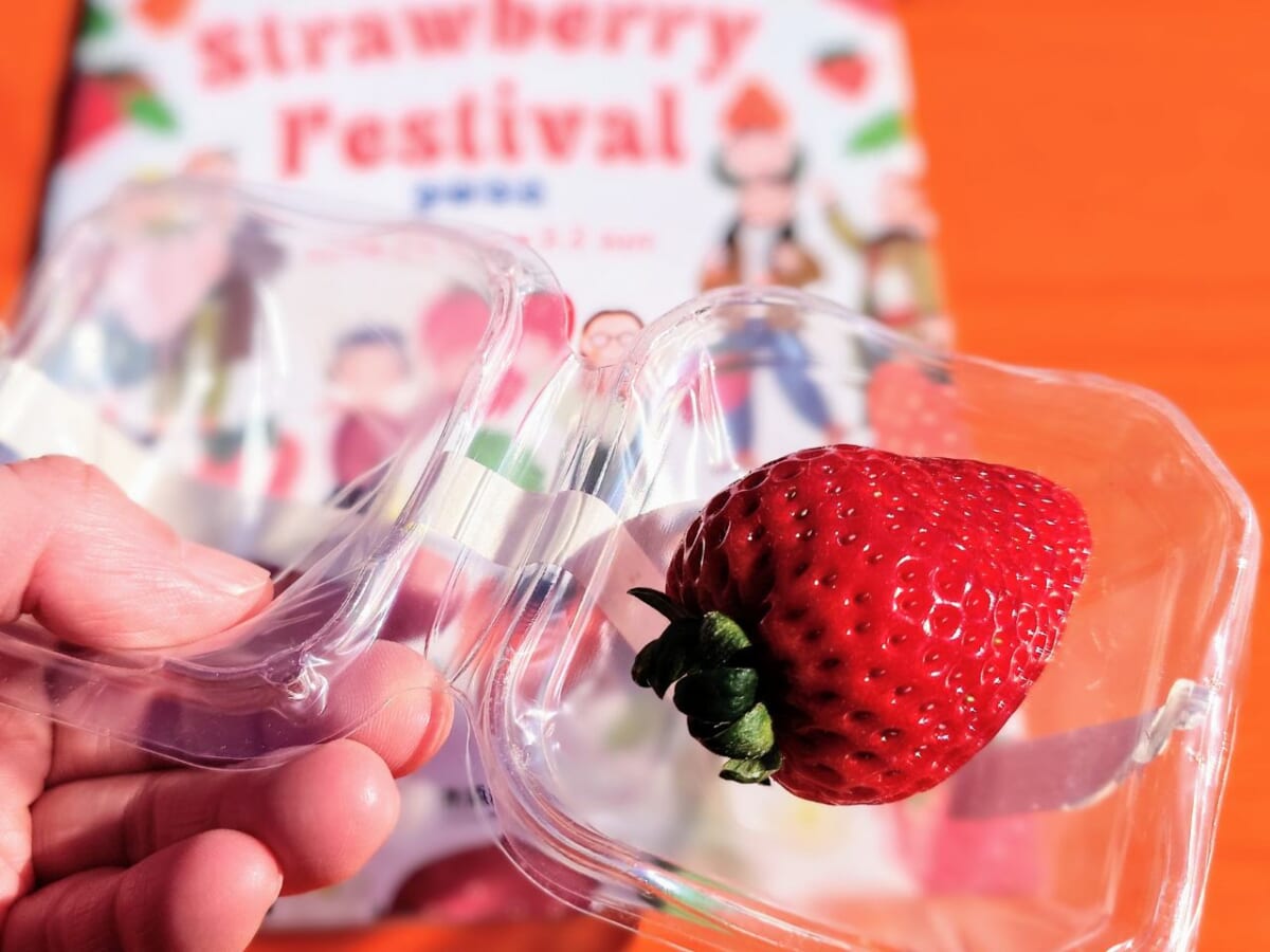 神奈川県横浜市・横浜赤レンガ倉庫「Yokohama Strawberry Festival 2025」2月6日に無料配布されたブランドいちご「ハート＆ベリーのとちあいか」