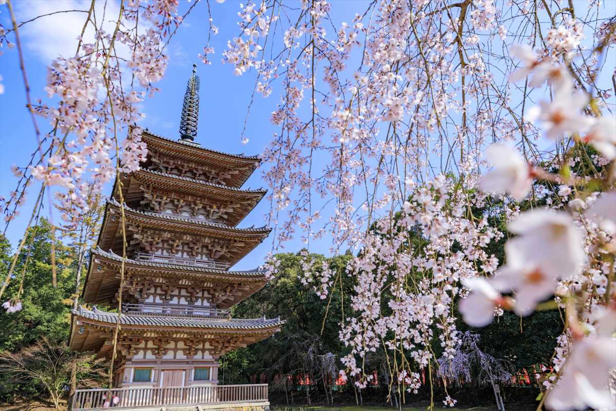 醍醐寺　五重塔