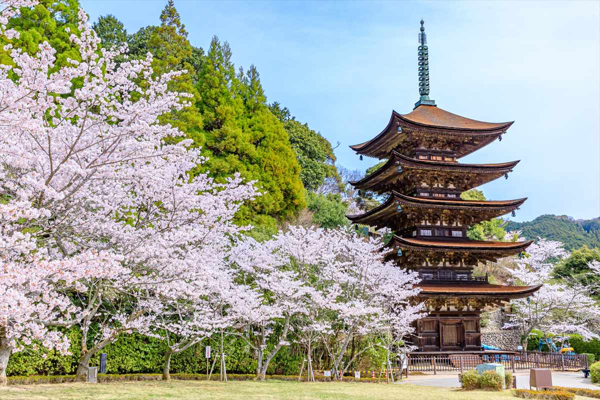 瑠璃光寺　五重塔