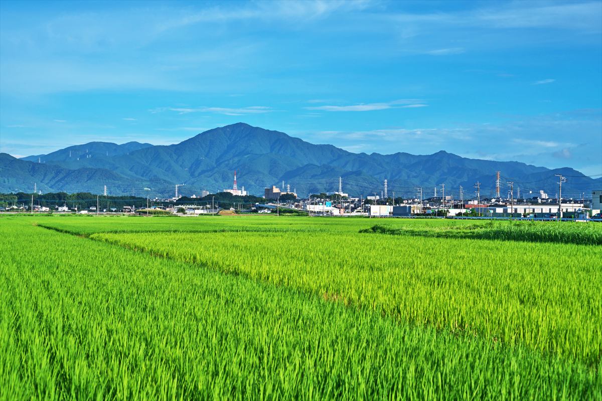 大山　山容