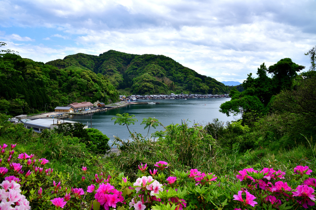 花と山の緑と海と舟屋を楽しめる季節　Photo by PIXTA