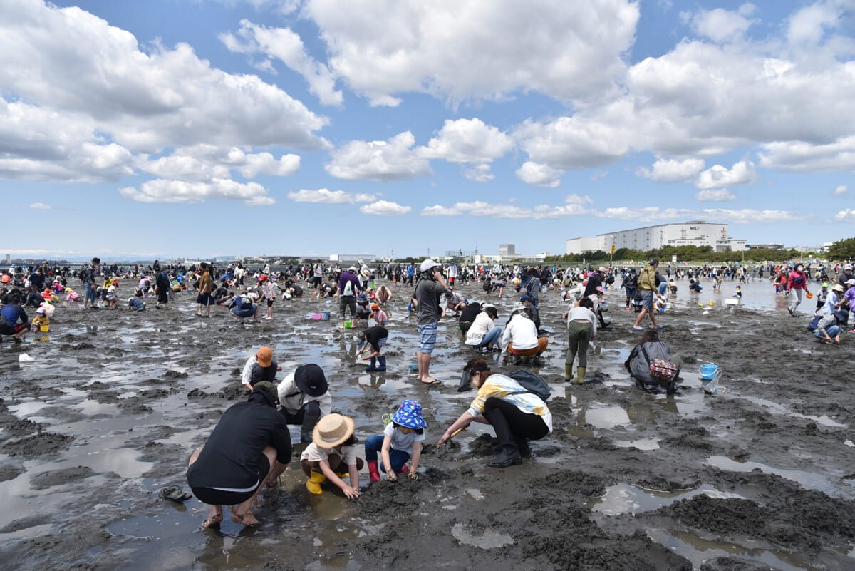 千葉県ふなばし三番瀬海浜公園"