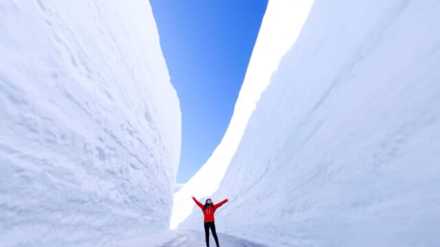初雪ページ 日本駆逐艦 初雪 (プラモデル) - ホビーサーチ ミリタリープラモ