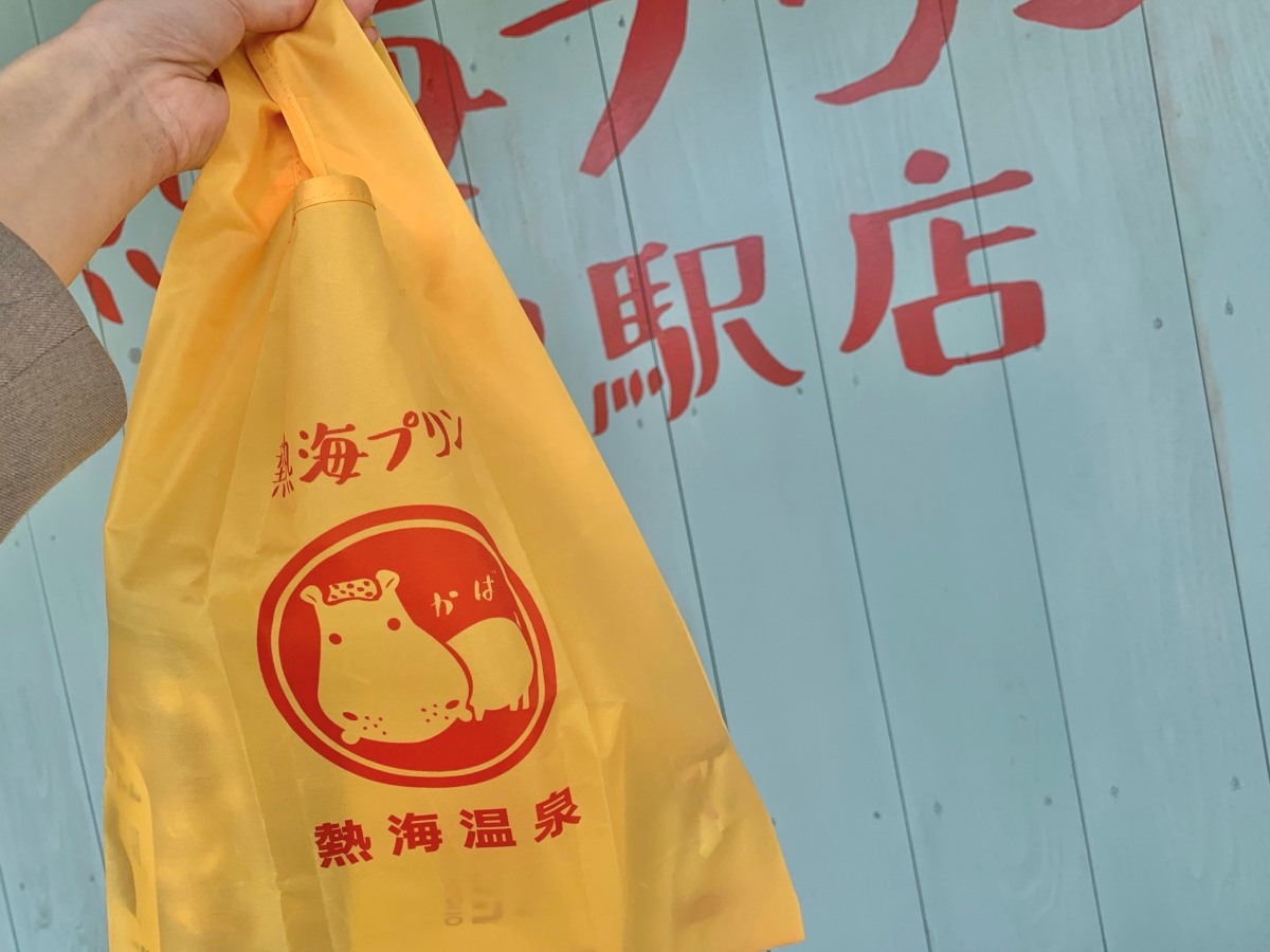 エコバッグを手に持っている様子