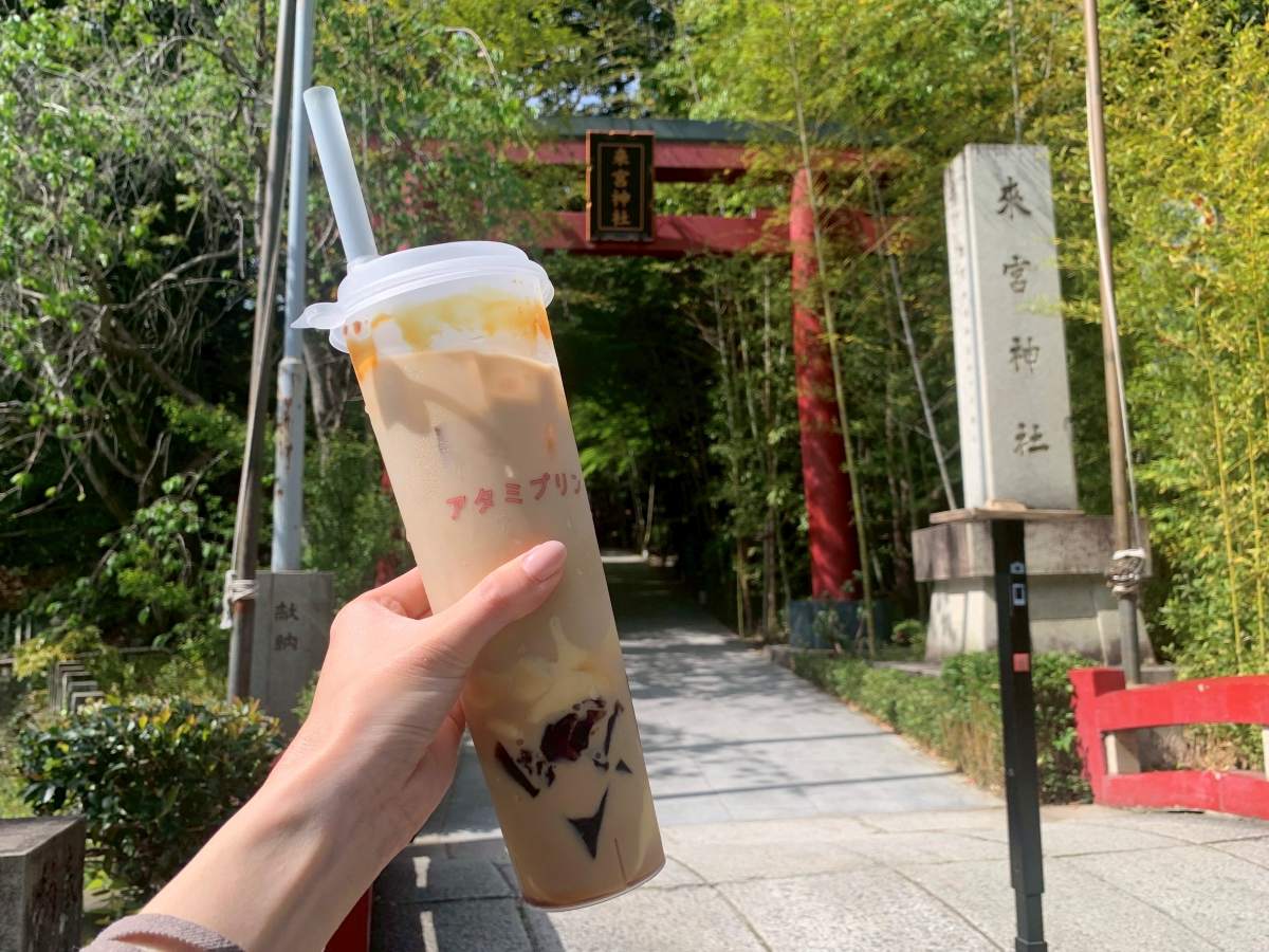 飲むプリンを持つ様子（来宮神社背景）
