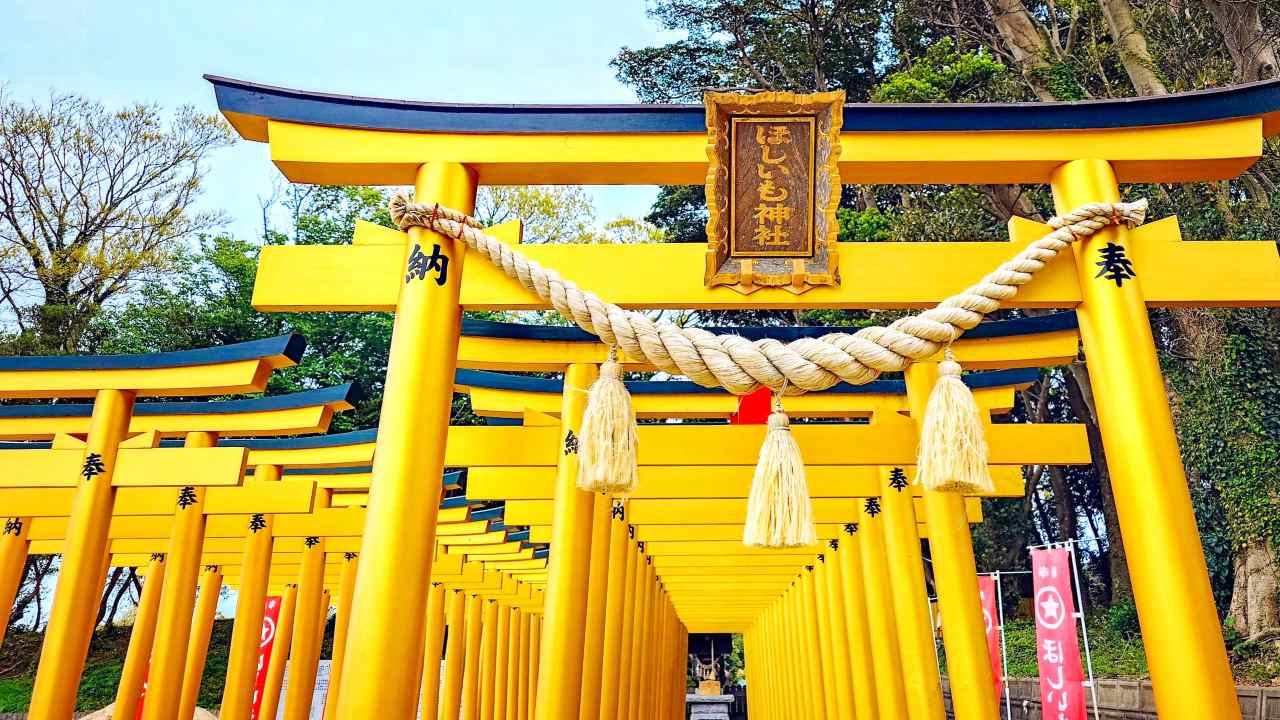 【個性が輝く「ほしいも神社」欲しいものが手に入る？！】境内の絶景カフェ＆周辺情報も紹介｜茨城・阿字ヶ浦