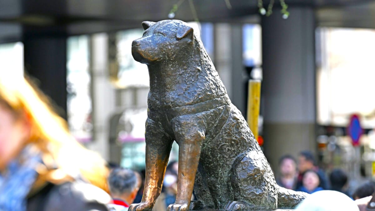 【実はソレ秋田が発祥！】日本一有名な犬「忠犬ハチ公」や“ゴホン！といえば”の「龍角散」など！各スポットの観光情報も紹介