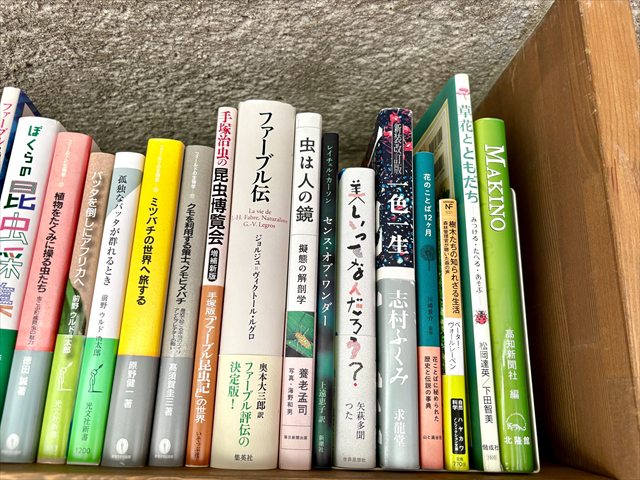 地中図書館　本