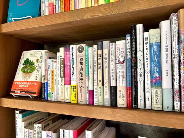 地中図書館　本