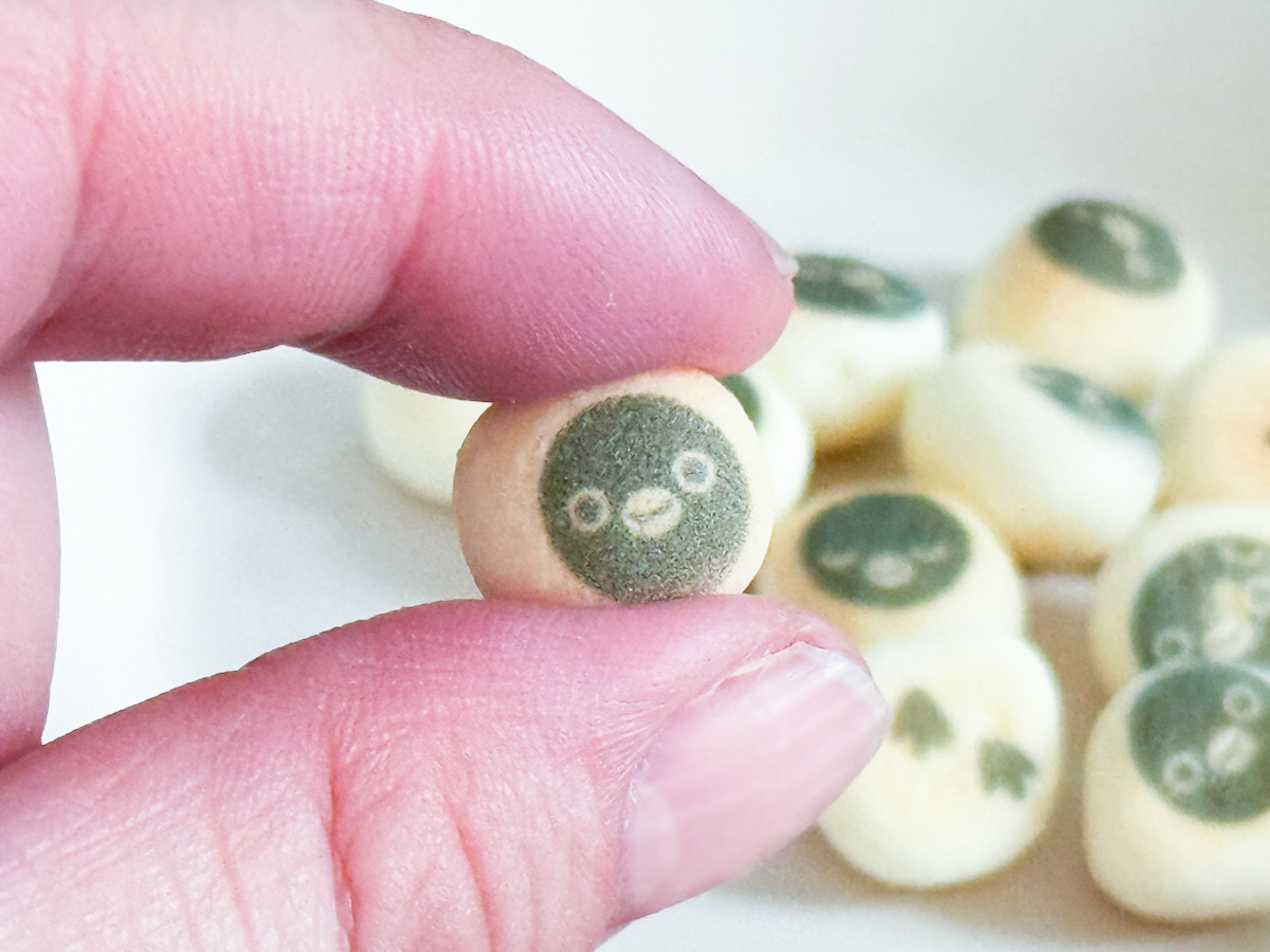 手に持った「Suicaのペンギンぼーろ」