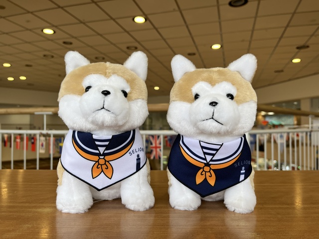 「道の駅あきた港ポートタワーセリオン」秋田犬ぬいぐるみ