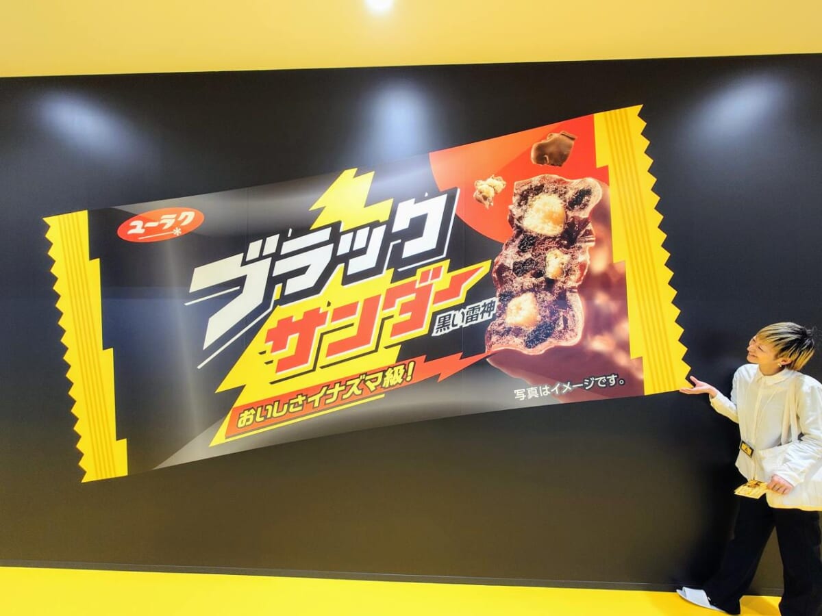 愛知県豊橋市・有楽製菓株式会社「ブラックサンダー ワクザクファクトリー」工場見学「ワクザクファクトリー見学通路」アート
