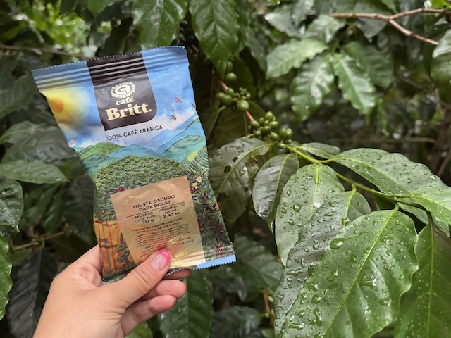 コスタリカ　コーヒーツアー　Britt 人気　お土産