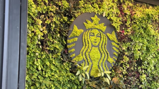 世界にひとつだけのスターバックス農園！現地ルポ】コスタリカ