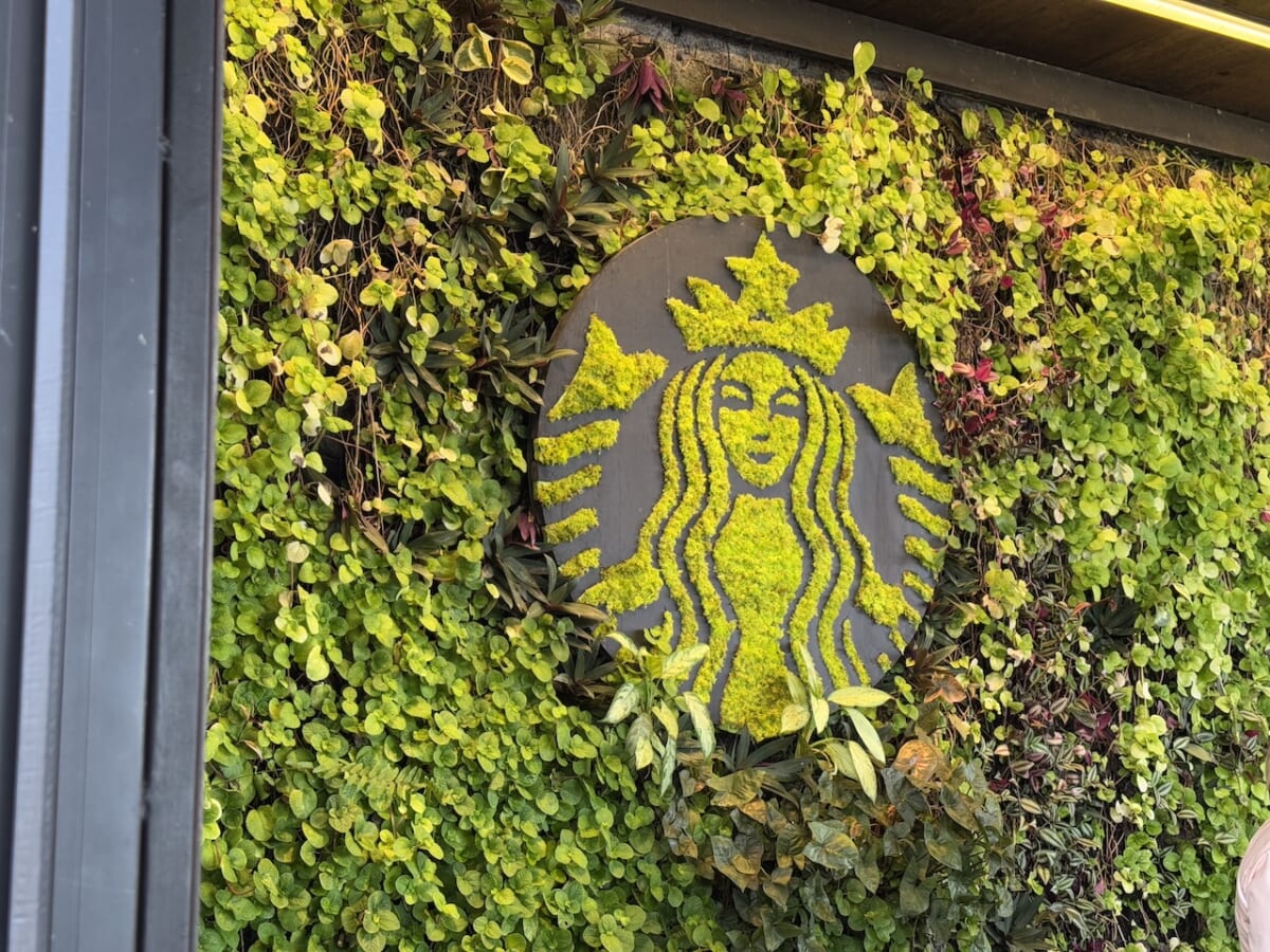 【世界にひとつだけのスターバックス農園！現地ルポ】コスタリカ「ハシエンダ・アルサシア」で味わうコーヒーの原点