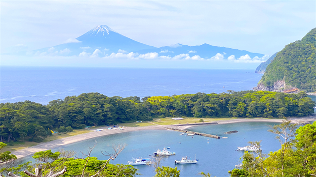 富士青藍 富士山と御浜岬の入り江