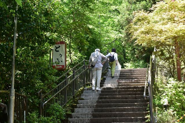 こま参道 階段