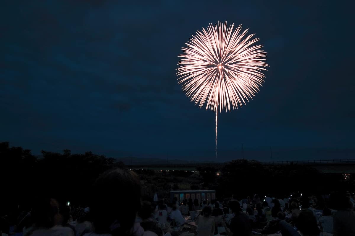 長岡花火大会 白菊