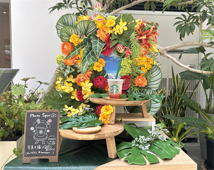 店内ドリンクフォトスポット