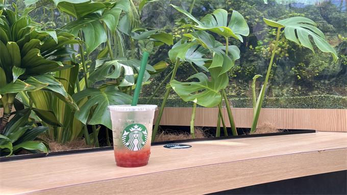 店内ドリンクの写真