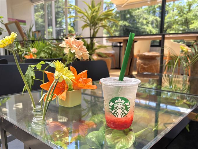 ガラステーブルの下に植物が植えられた席とドリンク