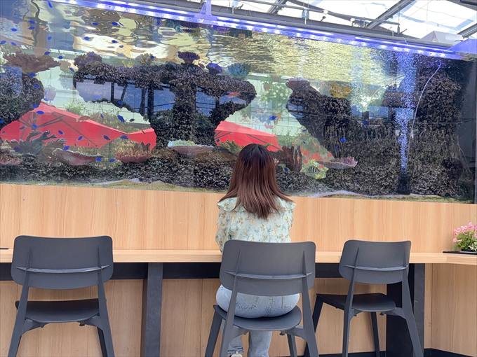 水槽の前カウンター席