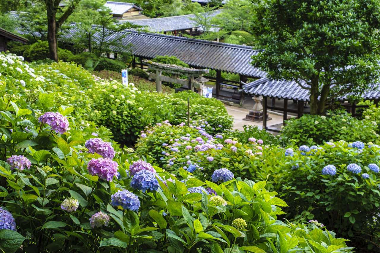 吉備津神社