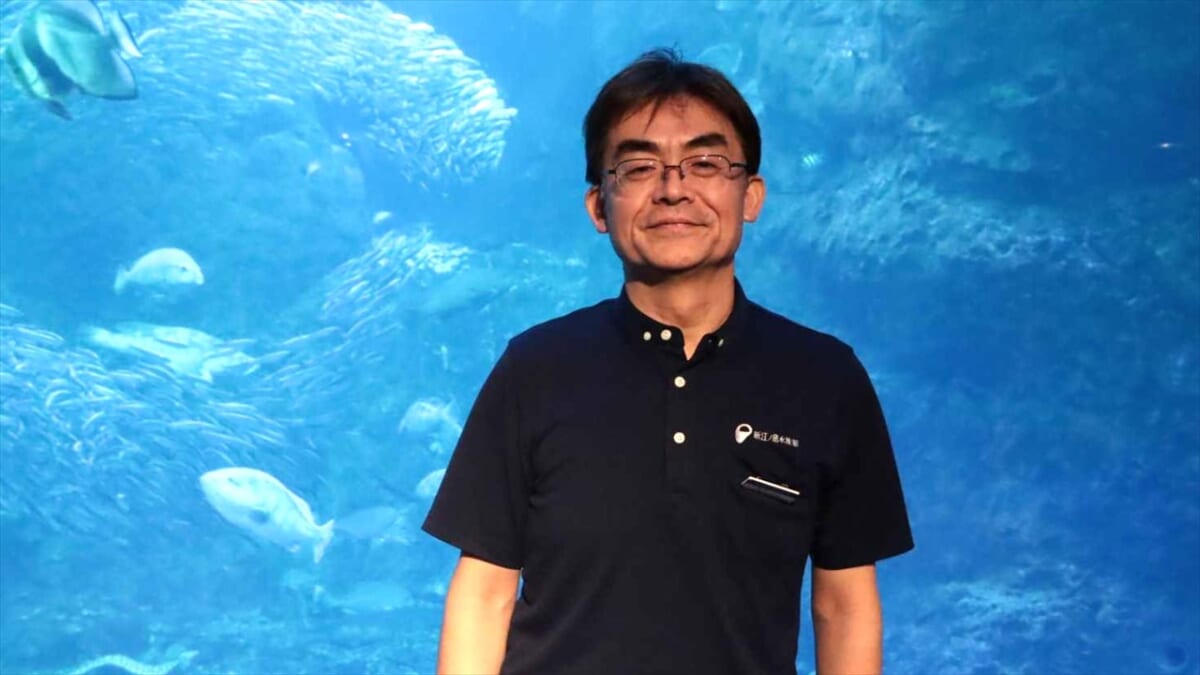海のプロが教える！夏の海で注意すべき危険な生き物と対処法とは？｜新江ノ島水族館×ケアリーヴ