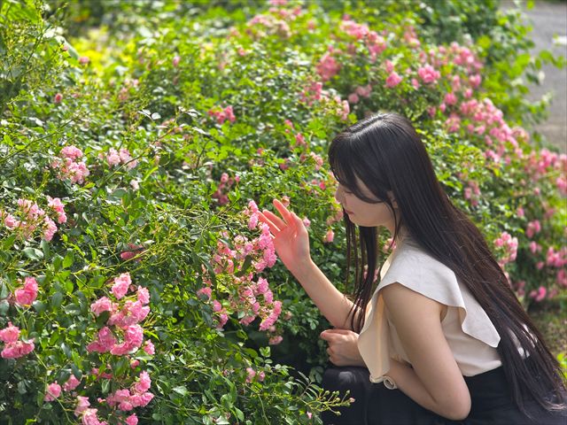 ACAO FOREST バラ