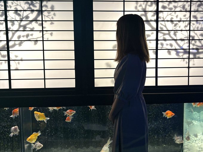 「アートアクアリウム美術館 GINZA」