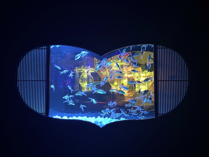 アートアクアリウム美術館 GINZA