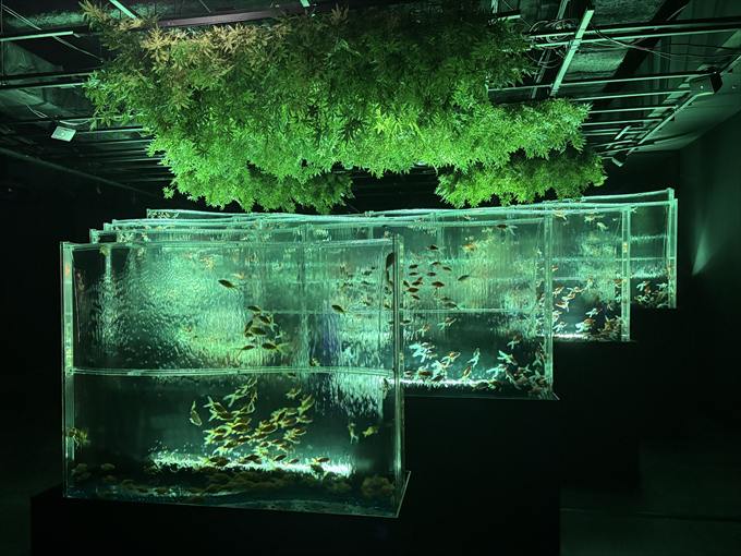 「金魚の滝」