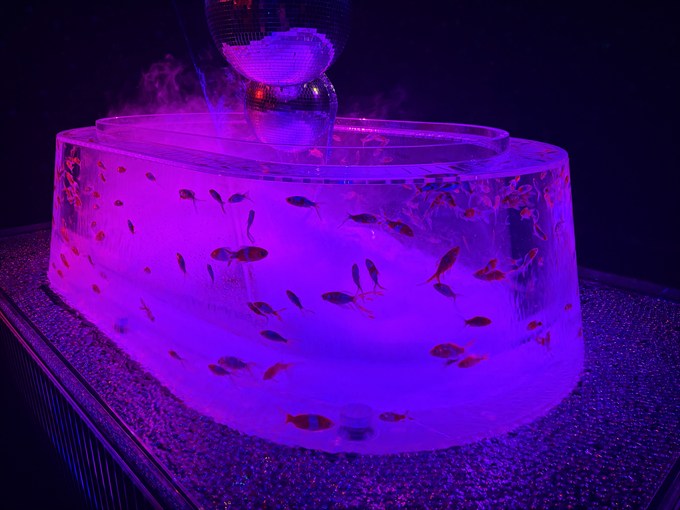 「金魚の湧泉」