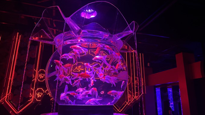 「アートアクアリウム美術館 GINZA」