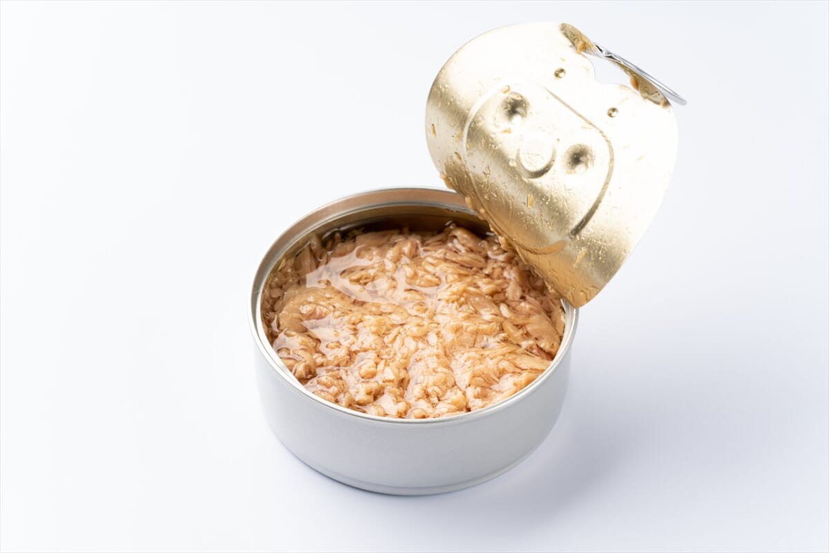 【実はソレ静岡が発祥！】日本の食文化を高めた「シーチキン」やヤマハなど！各スポットの観光情報も紹介