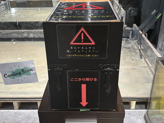 勇気がある方だけ開けられる箱