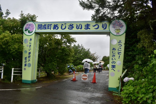 開成町あじさいまつり 入口 ゲート
