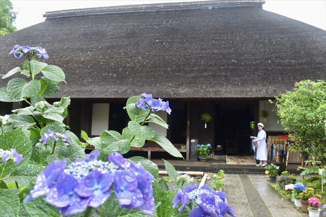 あしがり郷 瀬戸屋敷 内庭 修正済み