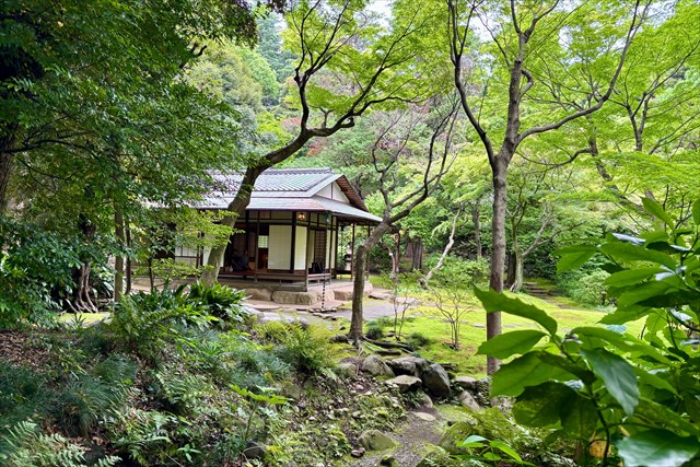 茶室 旧古河庭園