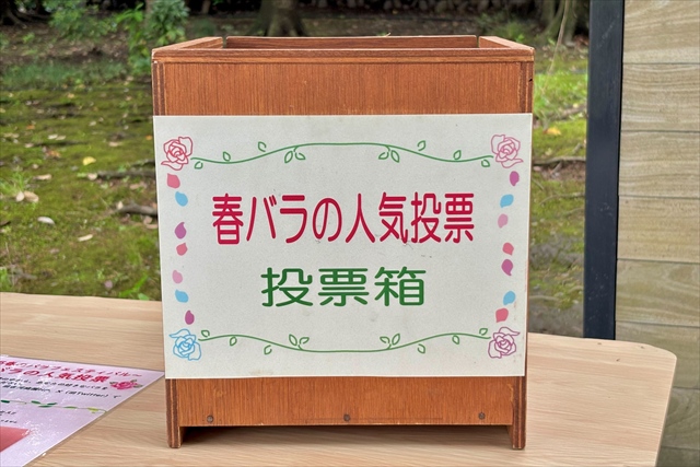 春バラの人気投票 投票箱