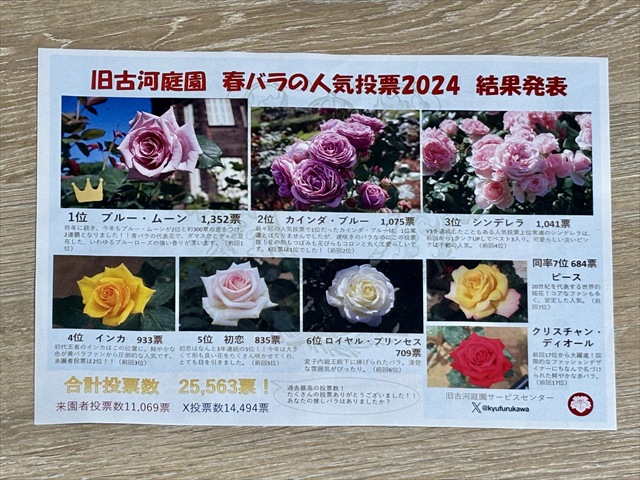 旧古河庭園 春バラの人気投票2024 結果発表
