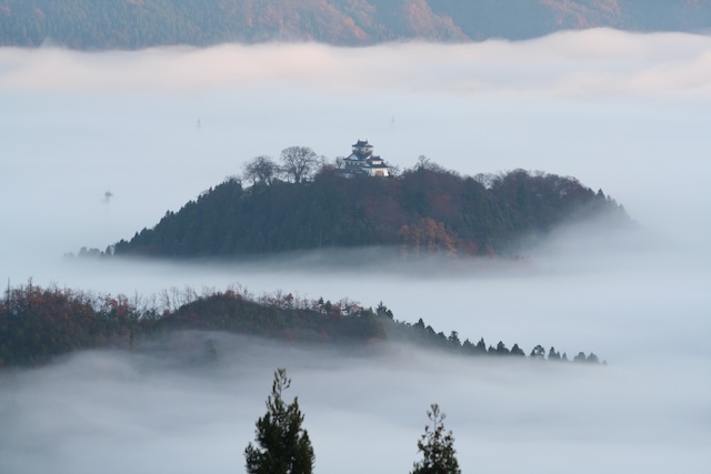 天空の城　【福井県】越前大野城