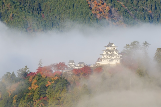天空の城　【岐阜県】郡上八幡城