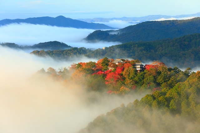 天空の城【岡山県】備中松山城